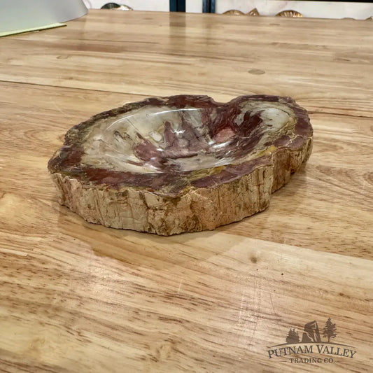Reserve Madagascar Petrified Wood Rustic Bowl 6.75’’ Bowl