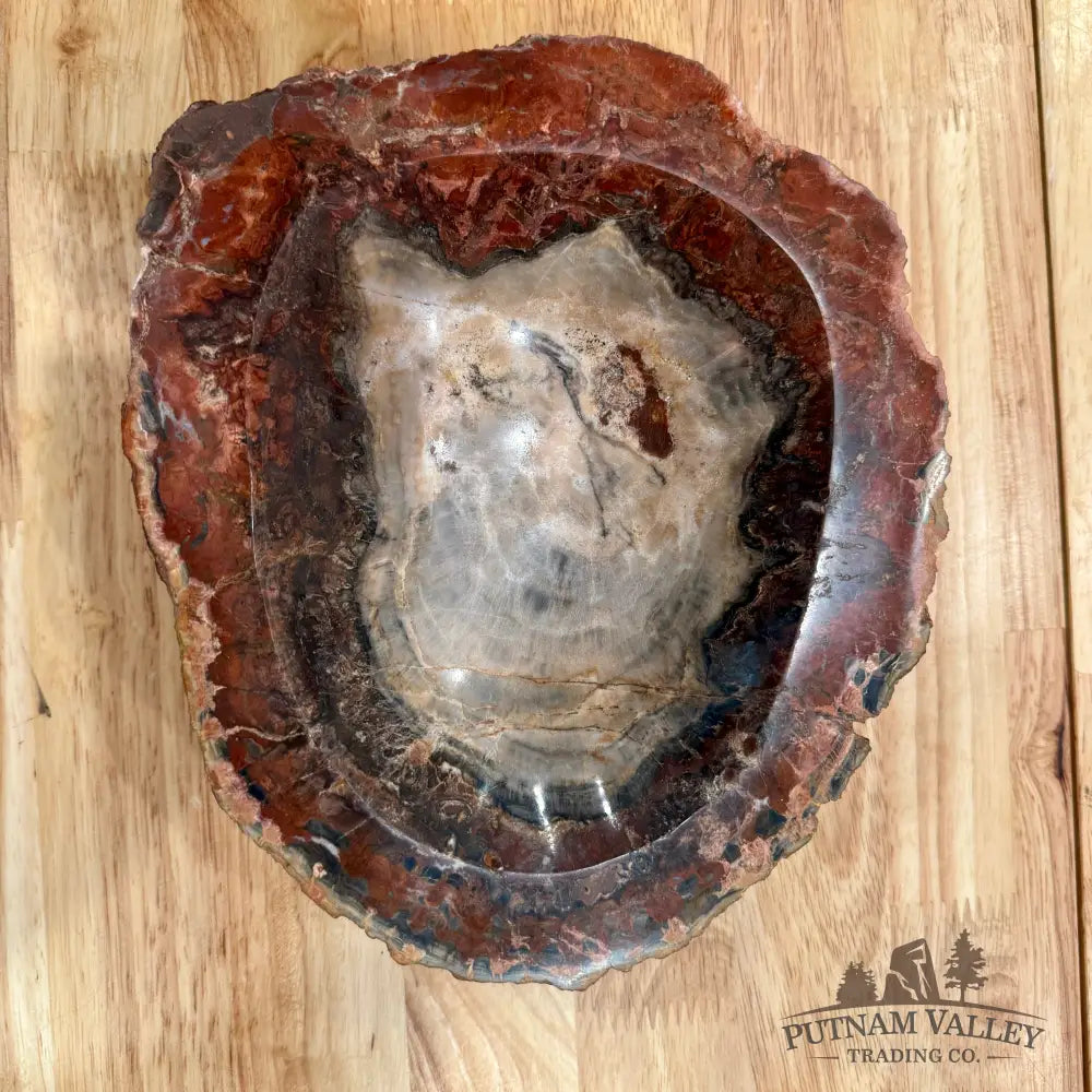 Reserve Madagascar Petrified Wood Rustic Bowl 8’’ Bowl