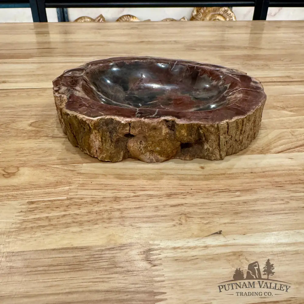 Reserve Madagascar Petrified Wood Rustic Bowl 8.5’’ Bowl