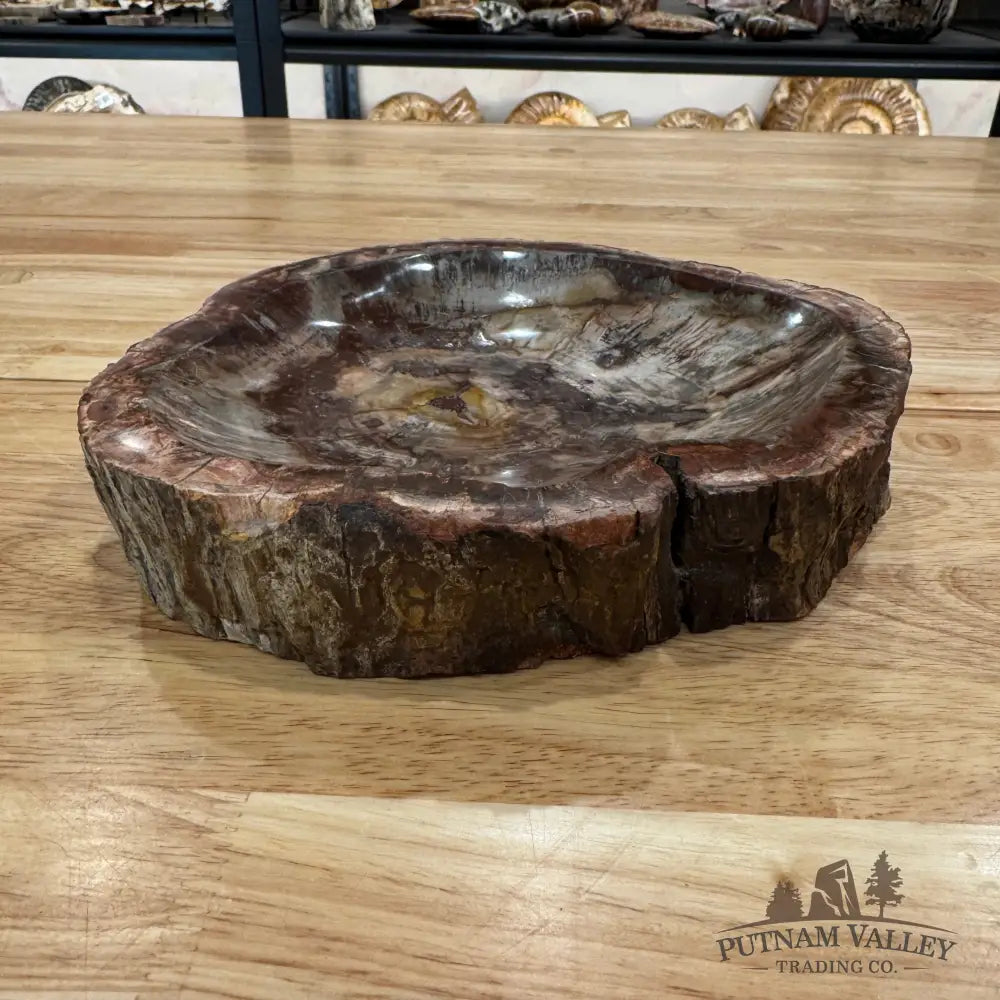 Madagascar Petrified Wood Rustic Bowl 9’’ Bowl