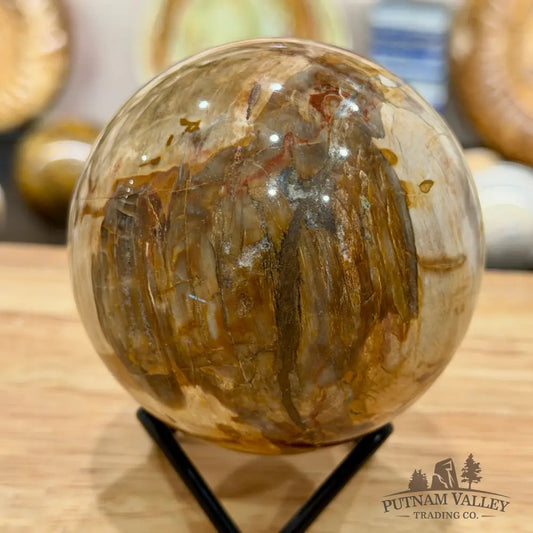 Reserve Madagascar Petrified Wood Sphere 3.31’’ - Sphere