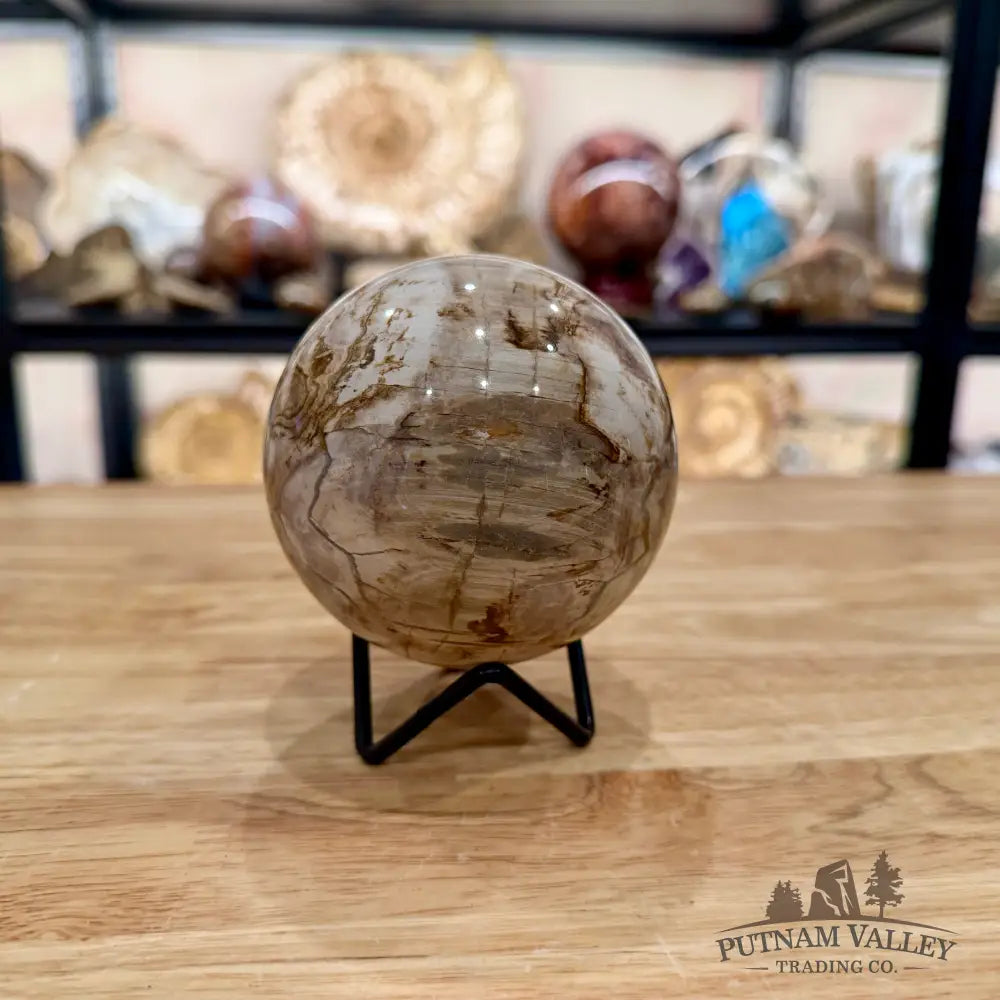 Reserve Madagascar Petrified Wood Sphere 3.49’’ - Sphere