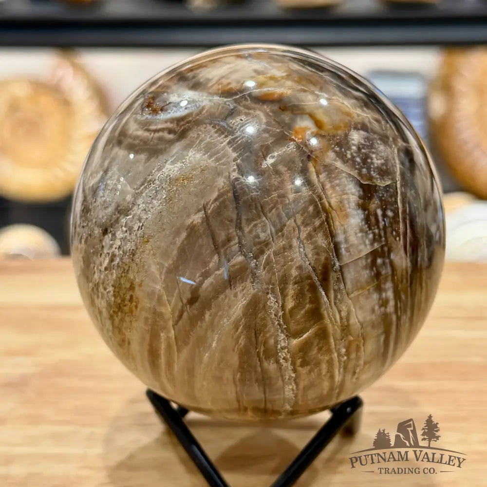 Reserve Madagascar Petrified Wood Sphere 3.55’’ - Sphere
