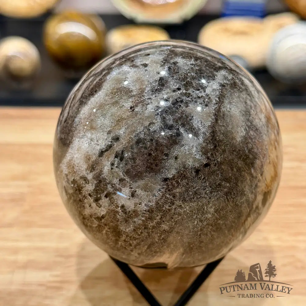 Reserve Madagascar Petrified Wood Sphere 3.6’’ - Sphere