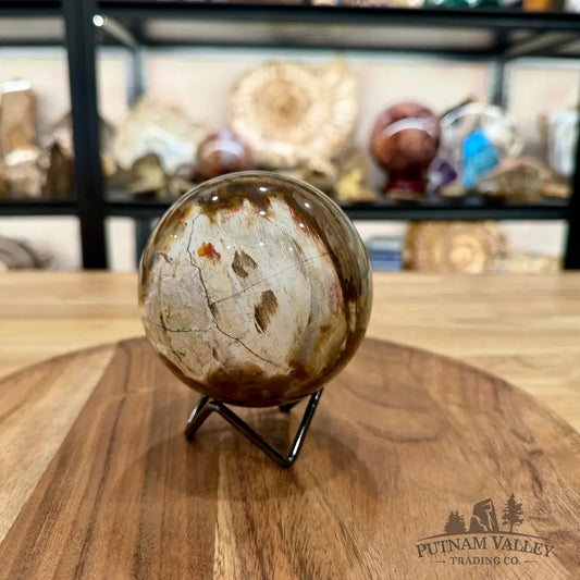 Reserve Madagascar Petrified Wood Sphere 3.74’’ - Sphere
