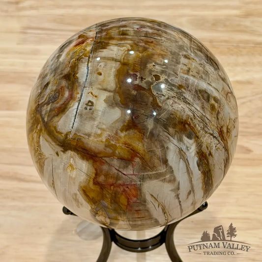 Reserve Madagascar Petrified Wood Sphere 4.7’’ - Sphere