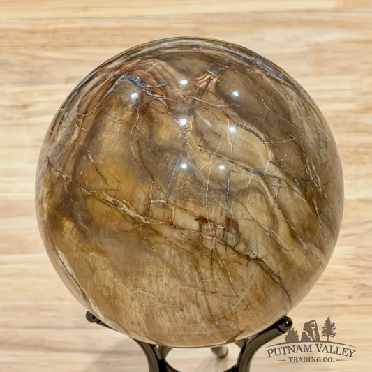Reserve Madagascar Petrified Wood Sphere 4.78’’ - Sphere