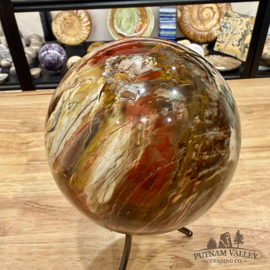 Reserve Madagascar Petrified Wood Sphere 5.18’’ - Sphere