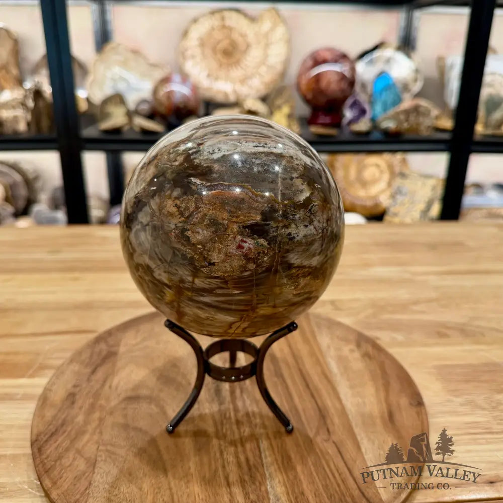 Reserve Madagascar Petrified Wood Sphere 5.37’’ - Sphere