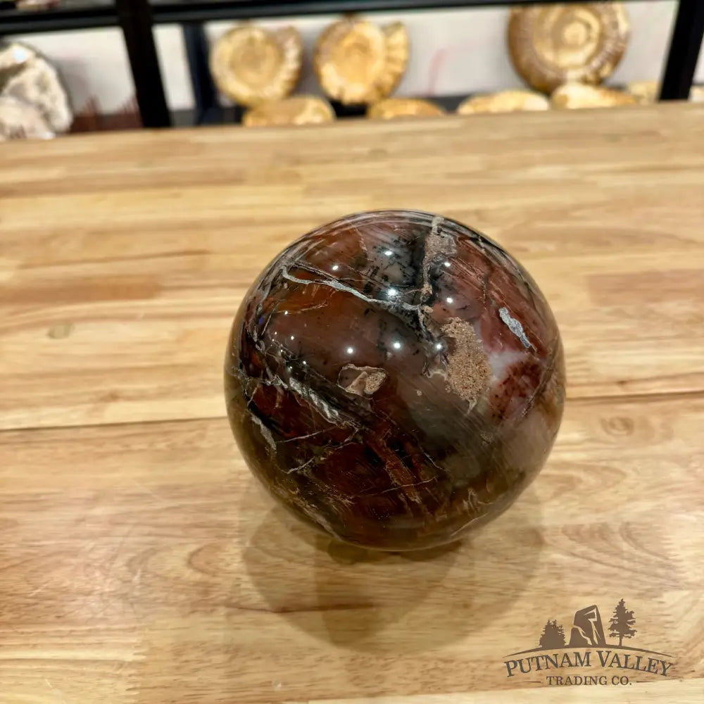 Madagascar Reserve Petrified Wood Sphere 6’’ (UV Reactive!) Sphere
