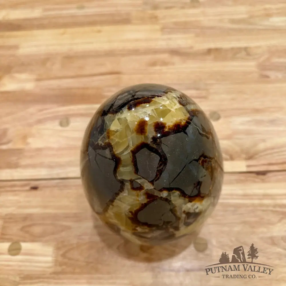 Reserve Madagascar Septarian Egg 8.75’’ Egg