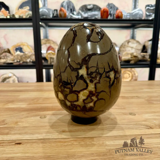 Madagascar Septarian Egg 9.5’’ Egg