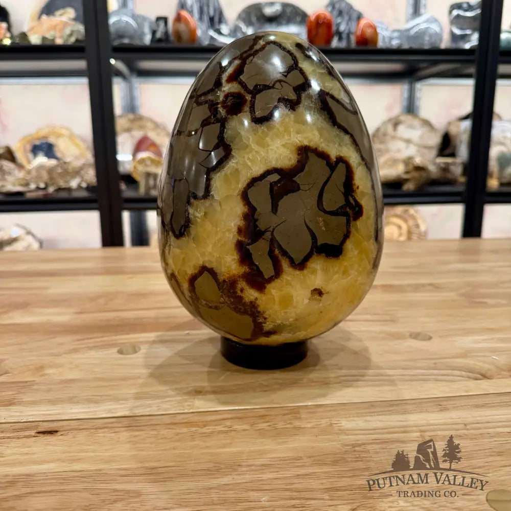 Madagascar Septarian Egg 9.5’’ Egg