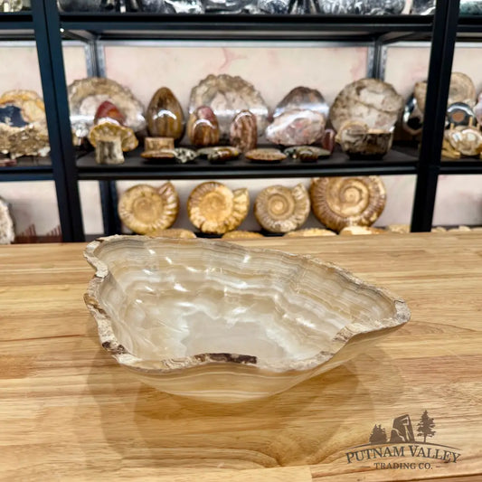 Reserve Mexican Onyx Rustic Bowl Bowl