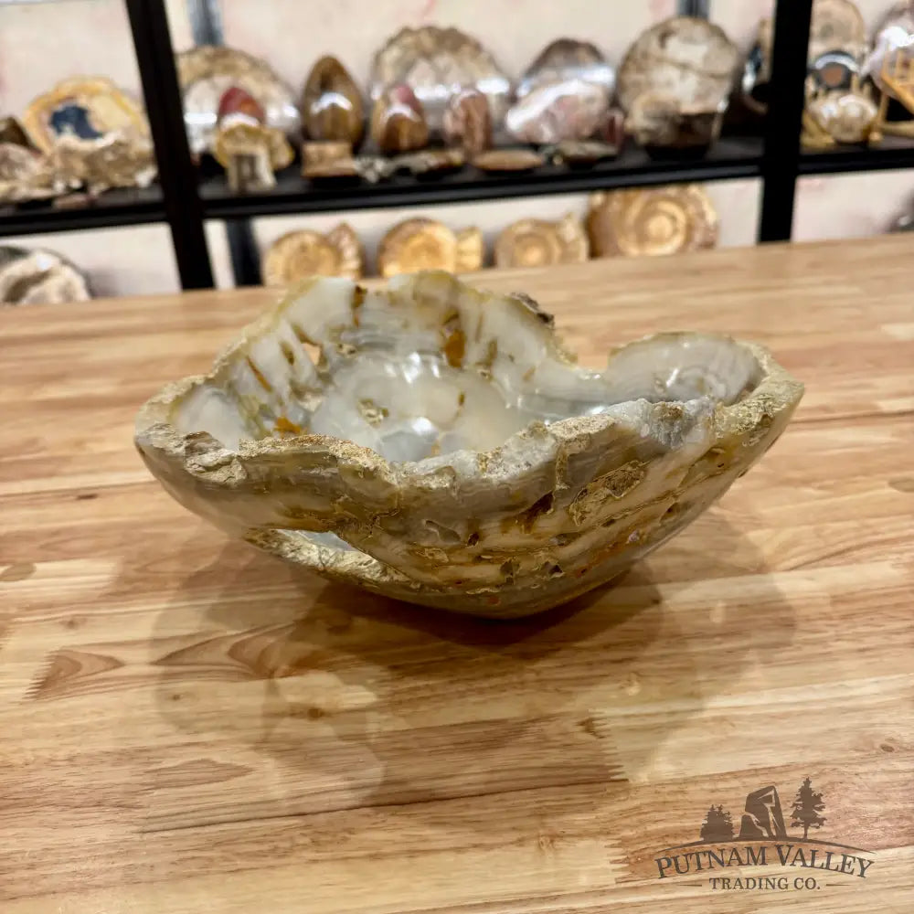 Reserve Mexican Onyx Rustic Bowl Bowl