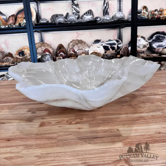White stone bowl on a wooden surface with a display of rocks in the background