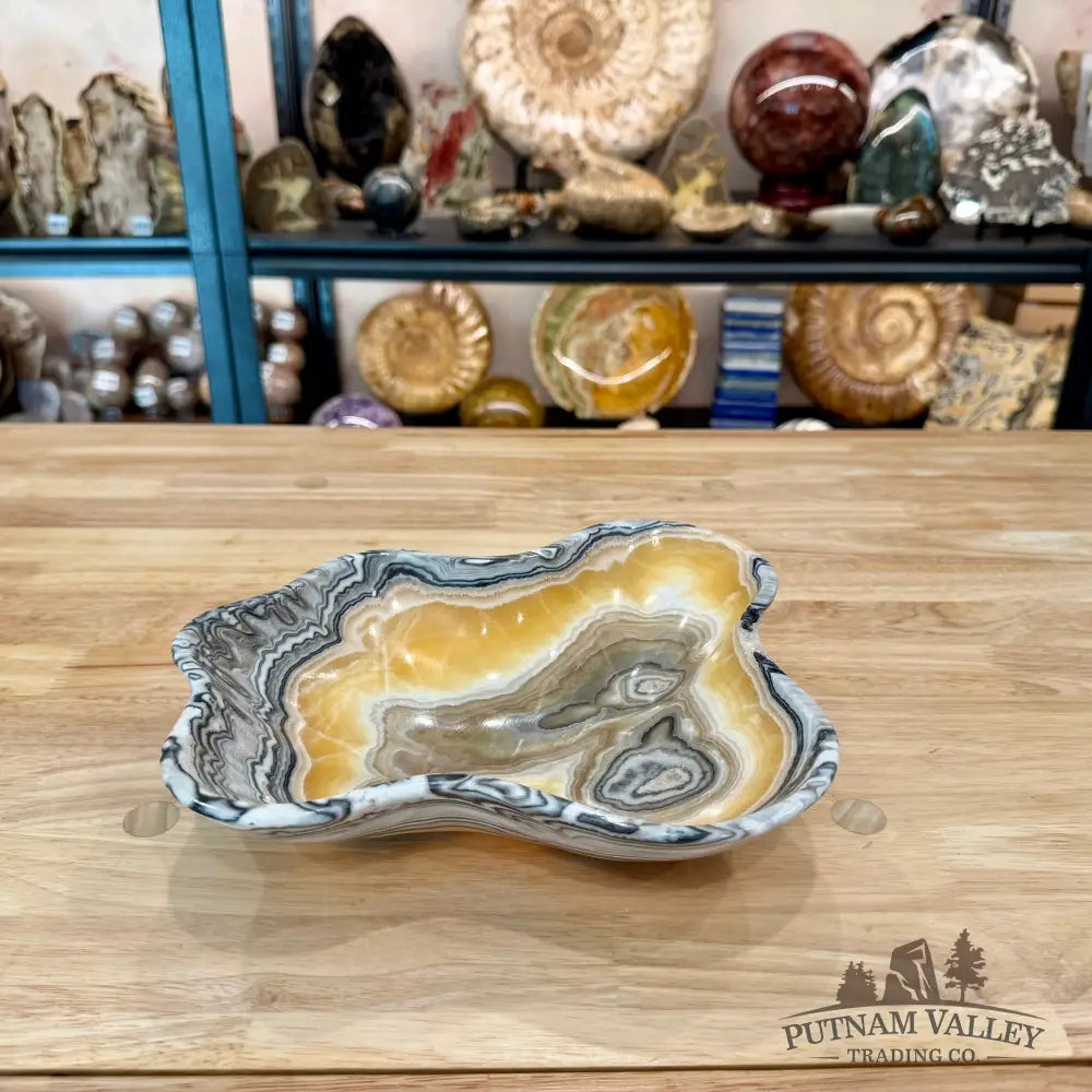 Reserve Mexican Zebra Onyx Bowl 10.5’’ - Bowl