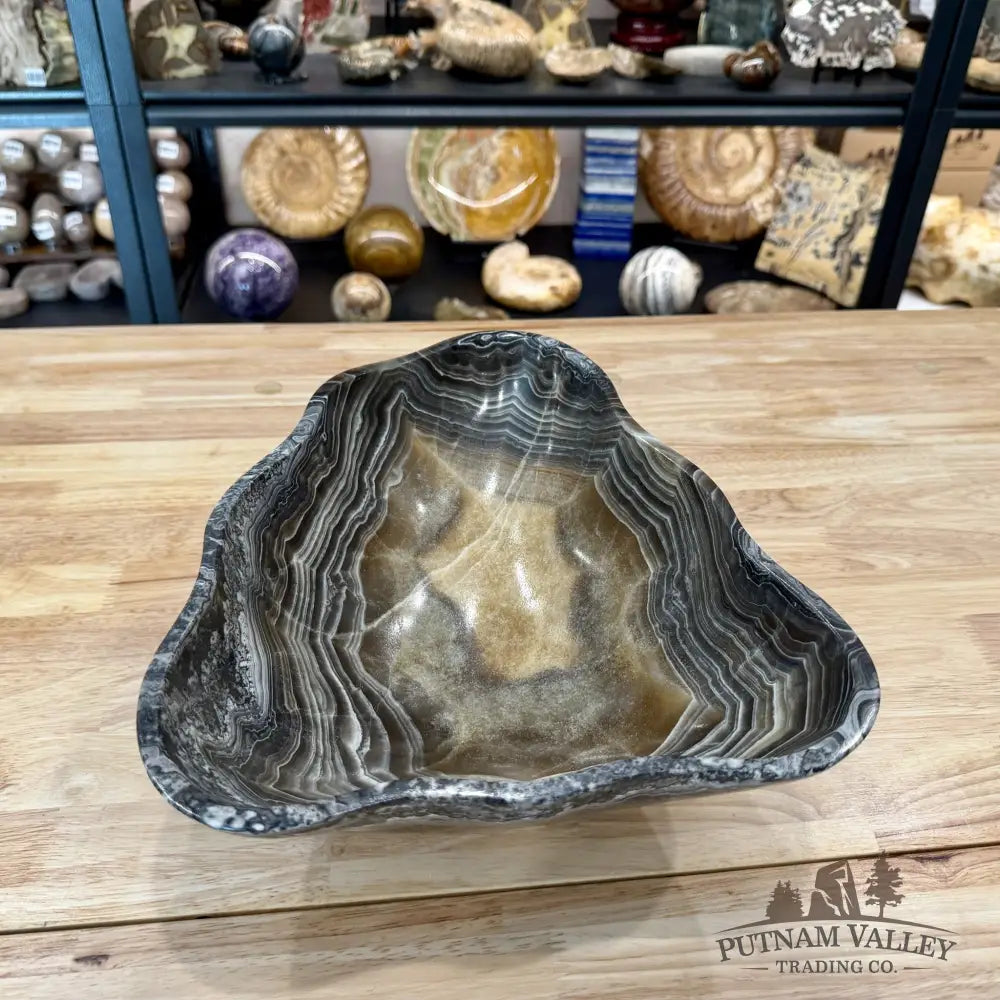 Reserve Mexican Zebra Onyx Bowl 12.88’’ - Bowl