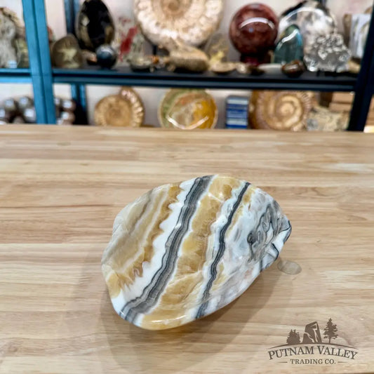 Reserve Mexican Zebra Onyx Bowl 8.32’’ - Bowl