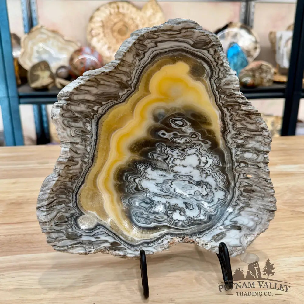 Reserve Mexican Zebra Onyx Rustic Bowl 9.25’’ - Bowl