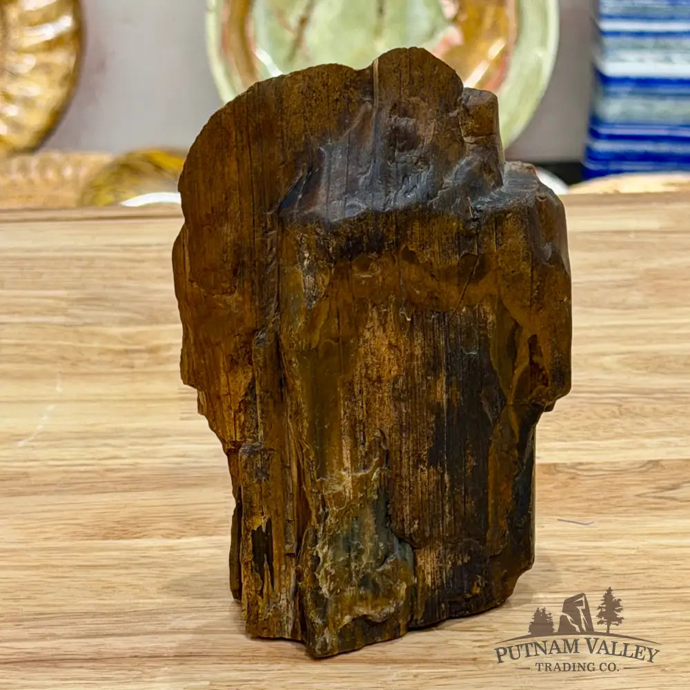 Reserve Oregon Petrified Wood Table Accent 5.6’’ - Sculpture