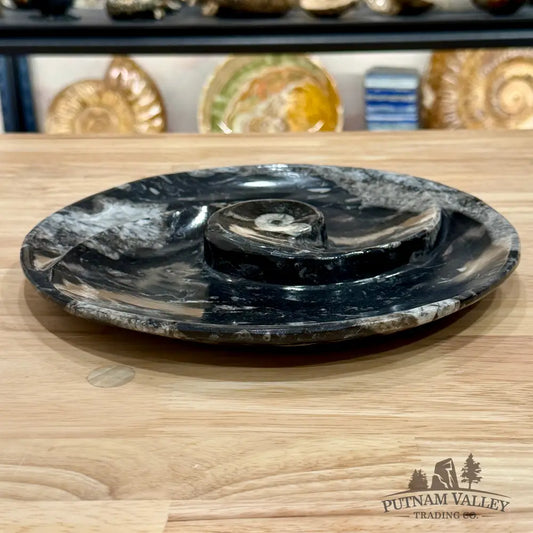 Reserve Orthoceras & Ammonite Fossil Serving Plate 10’’ 4 - Fossil Plates
