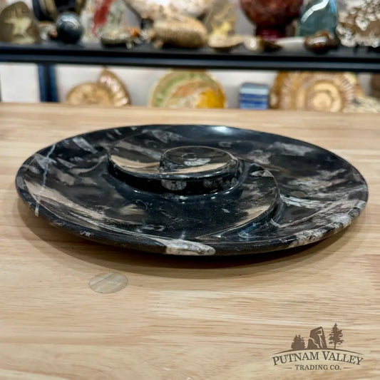 Reserve Orthoceras & Ammonite Fossil Serving Plate 10’’ - Fossil Plates