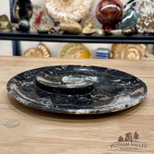 Reserve Orthoceras & Ammonite Fossil Serving Plate 10’’ 3 - Fossil Plates