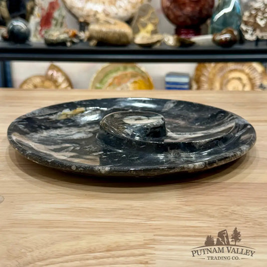 Reserve Orthoceras & Ammonite Fossil Serving Plate 10’’ 5 - Fossil Plates