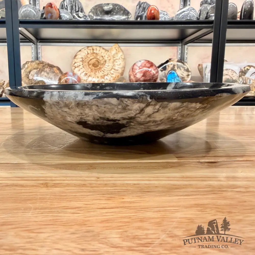 Genuine Reserve Orthoceras Fossil Bowl 10’’