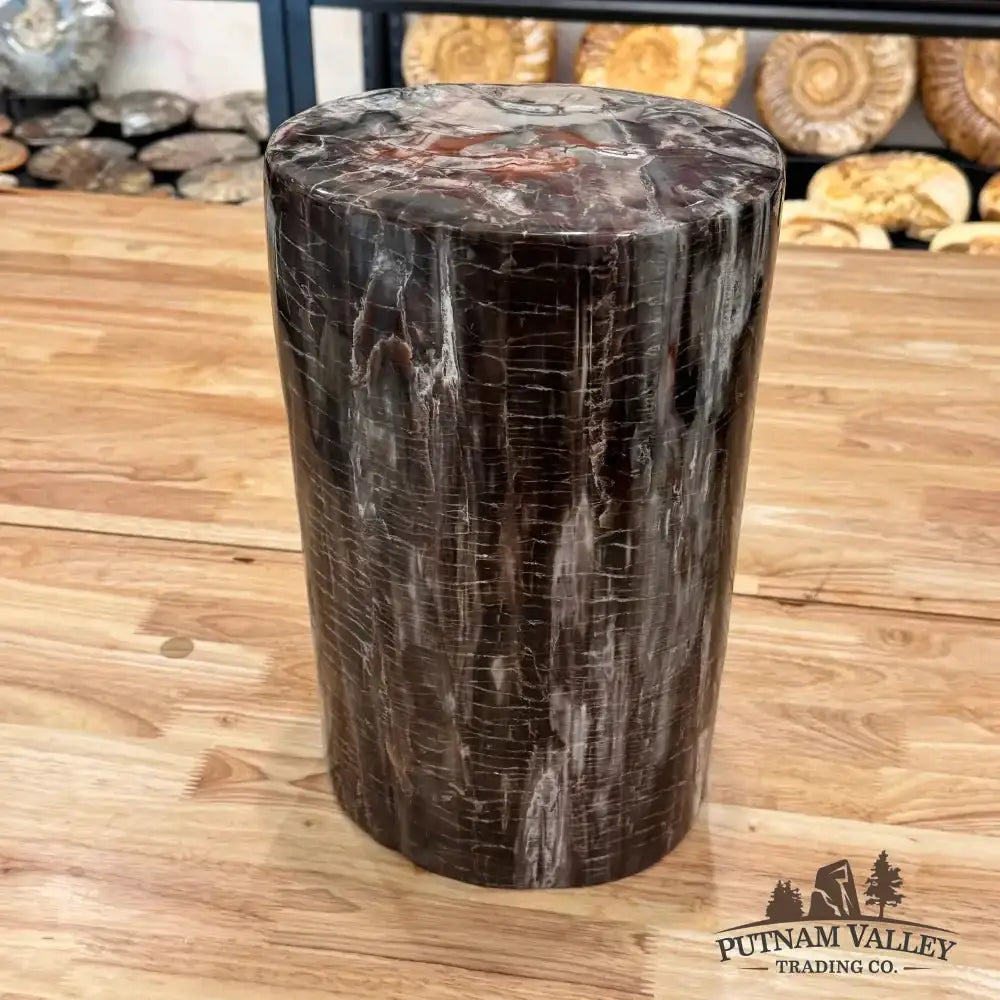 Reserve Petrified Wood Round Pillar - Putnam Valley Trading Co.