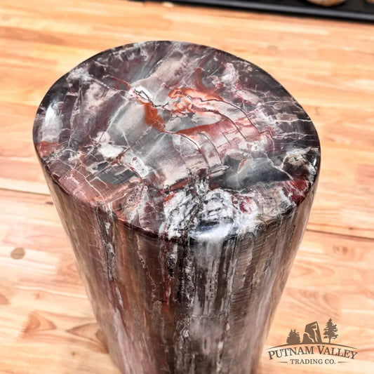 Reserve Petrified Wood Round Pillar Sculpture