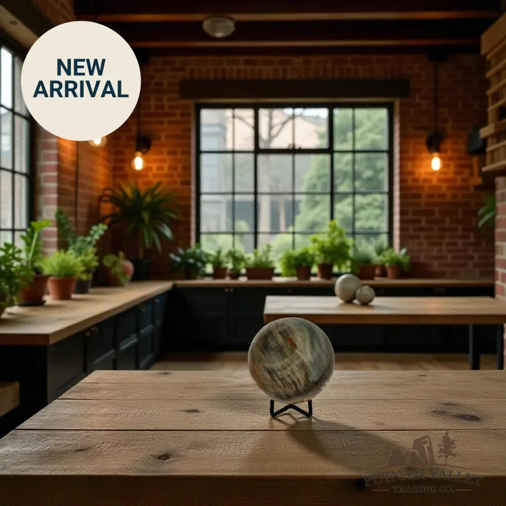 Reserve Petrified Wood Sphere 3.33’’ Sphere