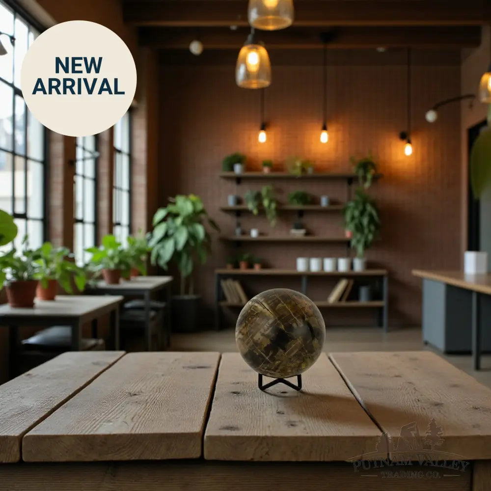 Reserve Petrified Wood Sphere 3.35’’ Sphere