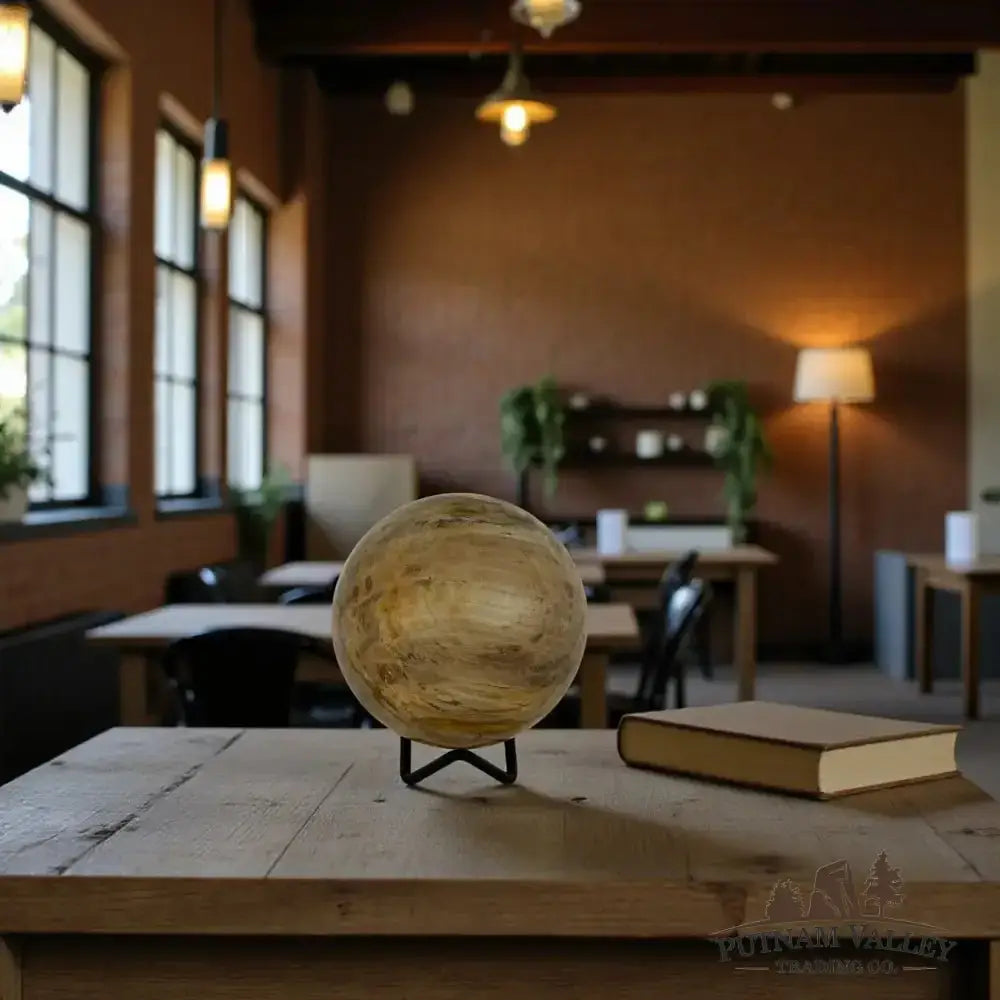 Reserve Petrified Wood Sphere 3.57" - Putnam Valley Trading Co.