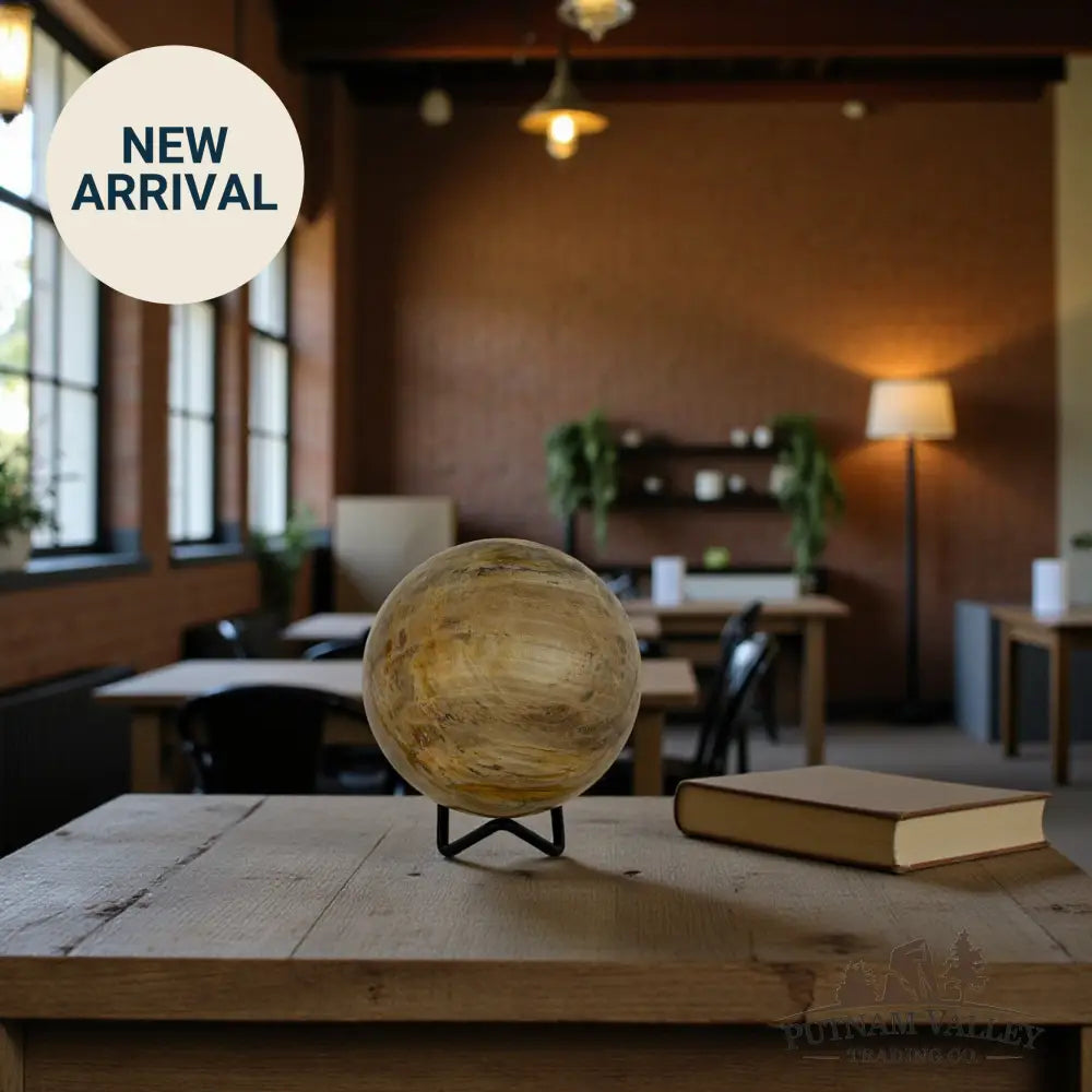 Reserve Petrified Wood Sphere 3.57’’ Sphere