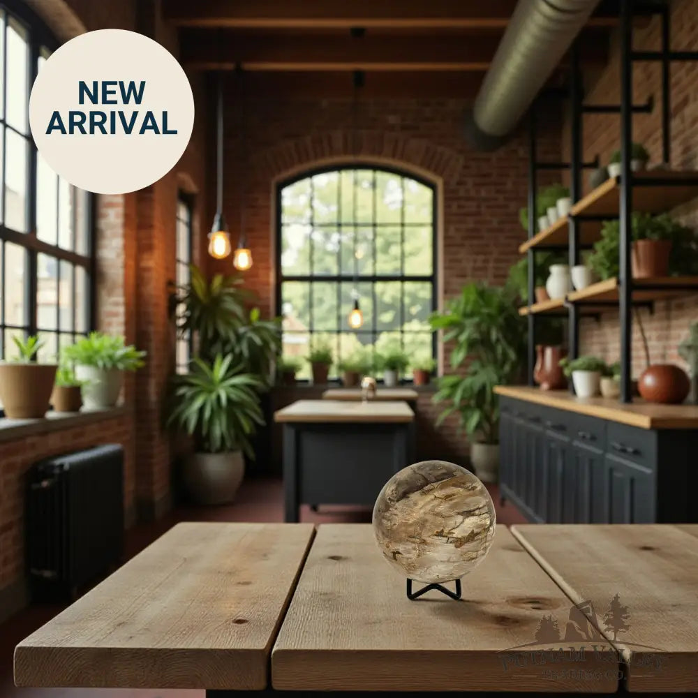 Reserve Petrified Wood Sphere 3.64’’ Sphere