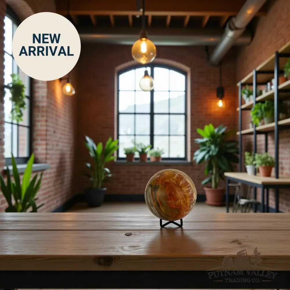 Reserve Petrified Wood Sphere 3.65’’ Sphere