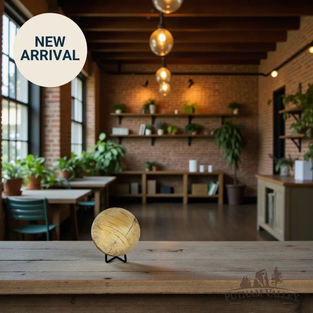 Reserve Petrified Wood Sphere 3.68’’ Sphere