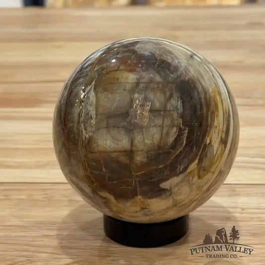 Reserve Petrified Wood Sphere 3.93" - Putnam Valley Trading Co.