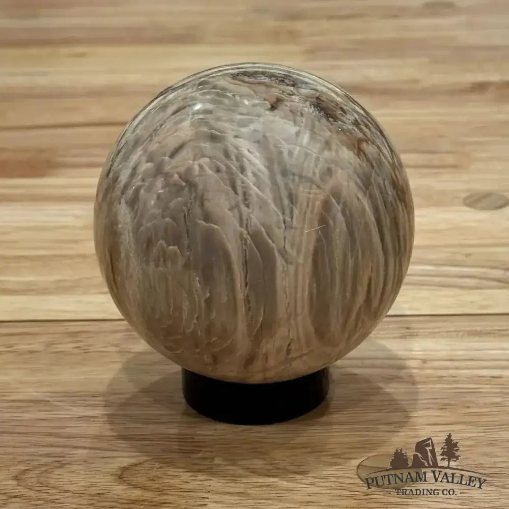 Reserve Petrified Wood Sphere 3.93" - Putnam Valley Trading Co.