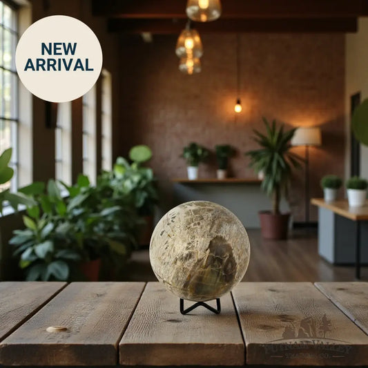 Reserve Petrified Wood Sphere 3.98’’ Sphere