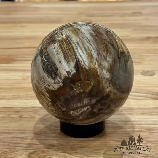Reserve Petrified Wood Sphere 4.12" - Putnam Valley Trading Co.
