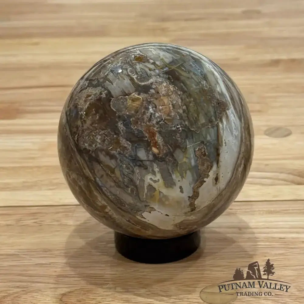 Reserve Petrified Wood Sphere 4.12" - Putnam Valley Trading Co.