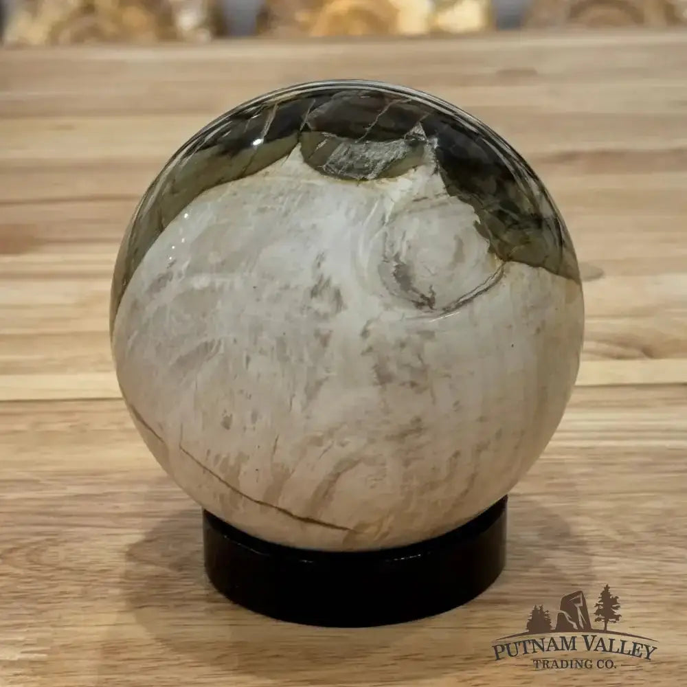 Reserve Petrified Wood Sphere 4.27" - Putnam Valley Trading Co.
