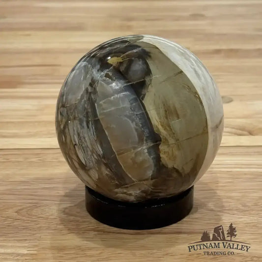 Reserve Petrified Wood Sphere 4.27" - Putnam Valley Trading Co.