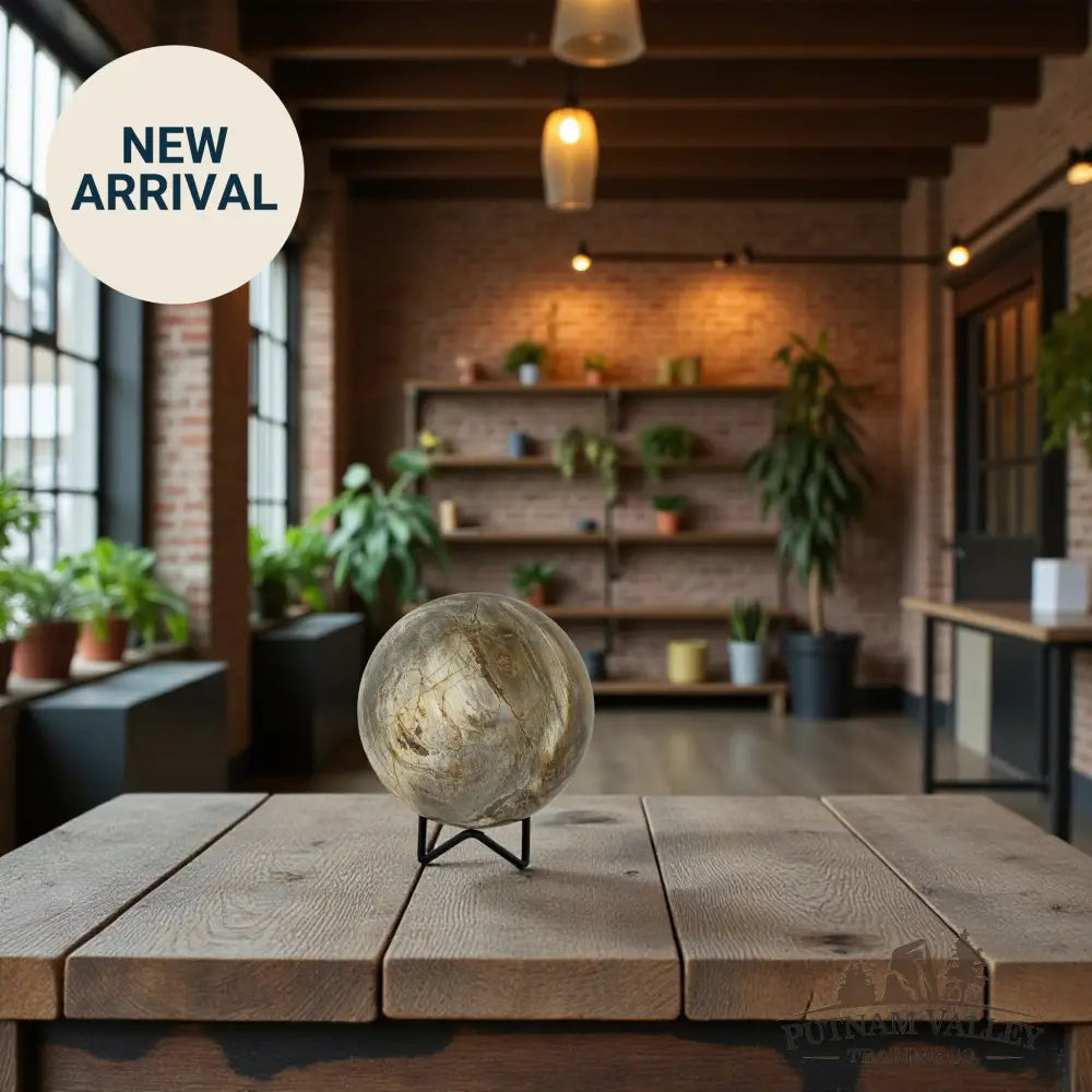 Reserve Petrified Wood Sphere 4.28’’ Sphere