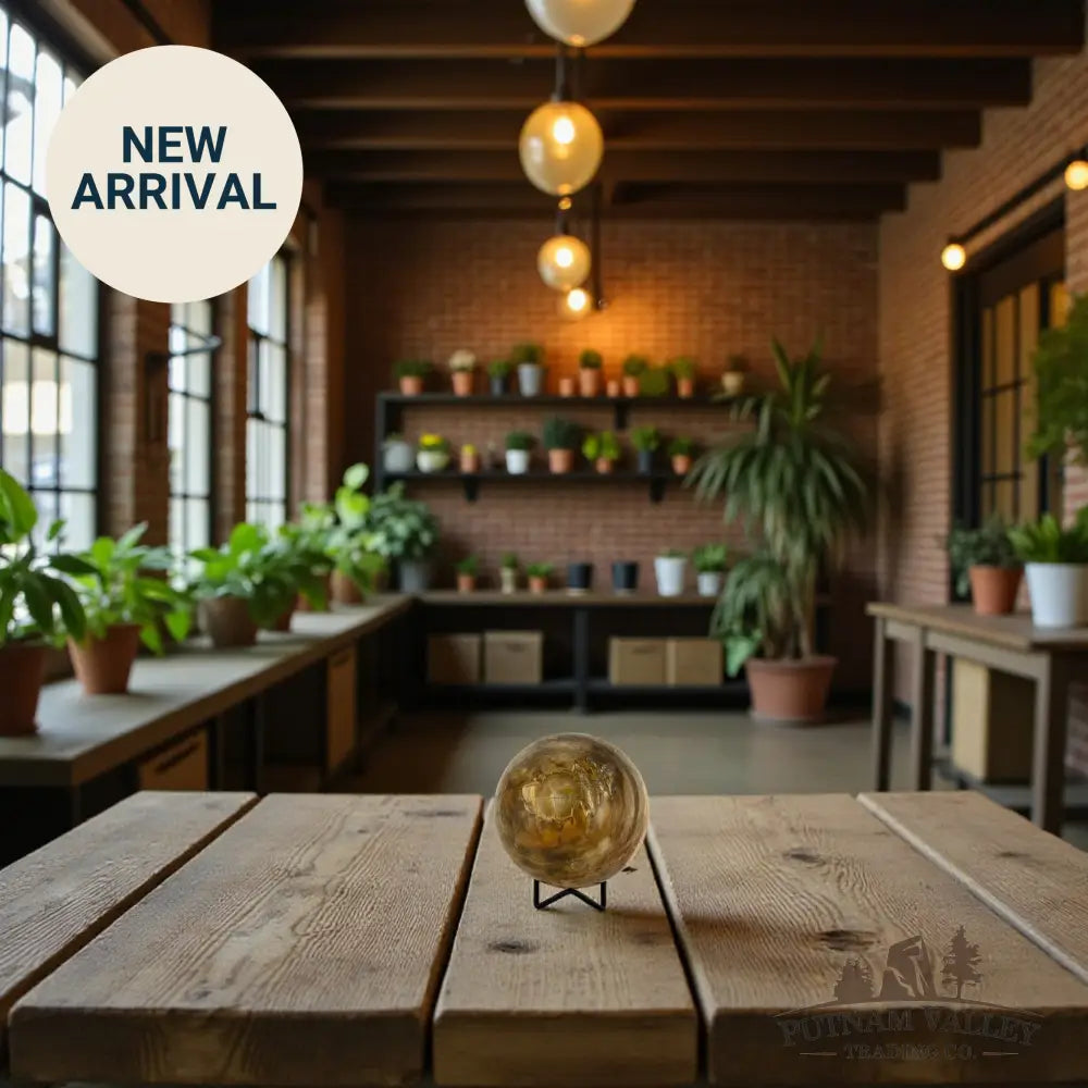 Reserve Petrified Wood Sphere 4.32’’ Sphere