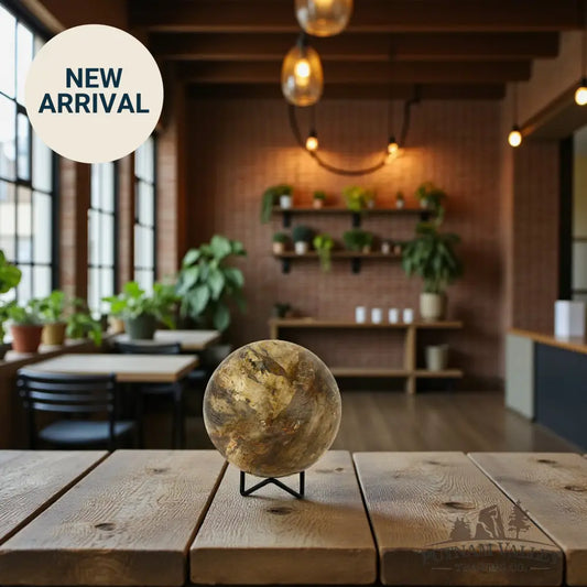 Reserve Petrified Wood Sphere 4.32’’ Sphere