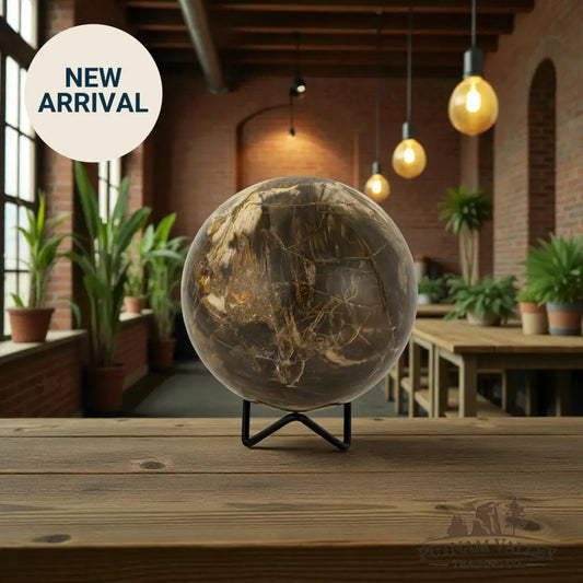 Reserve Petrified Wood Sphere 4.37’’ Sphere